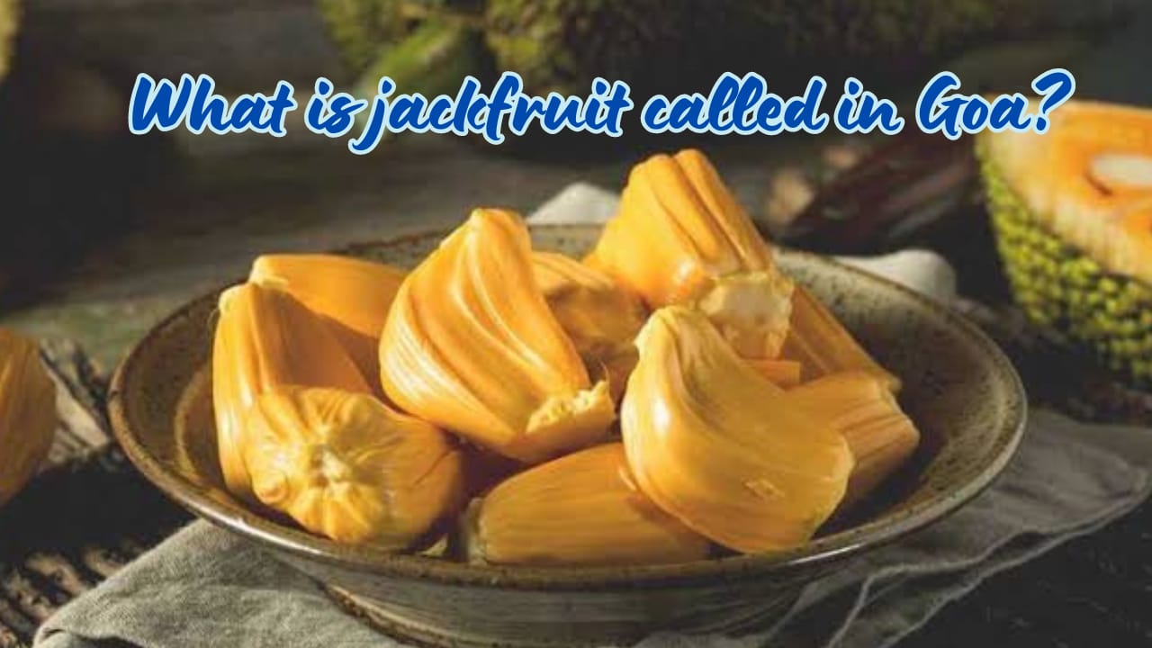 What is jackfruit called in Goa?